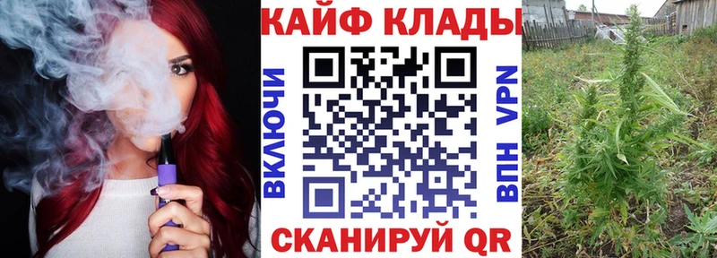 COCAIN Старая Русса