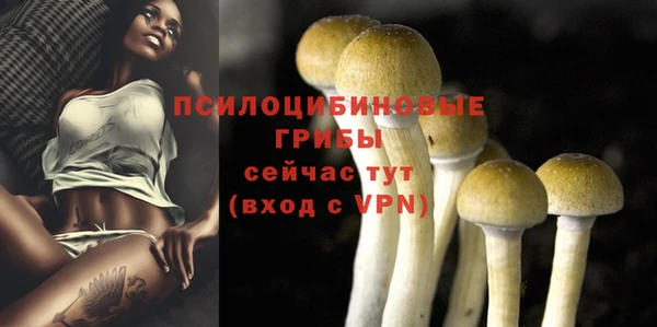 jwh Краснослободск