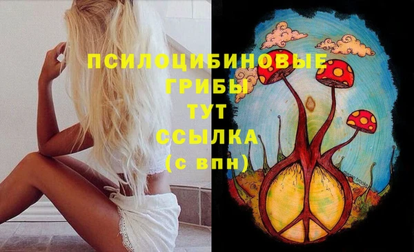 jwh Краснослободск