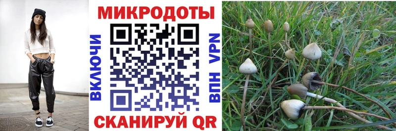 дарнет шоп  Старая Русса  blacksprut   Псилоцибиновые грибы мухоморы 