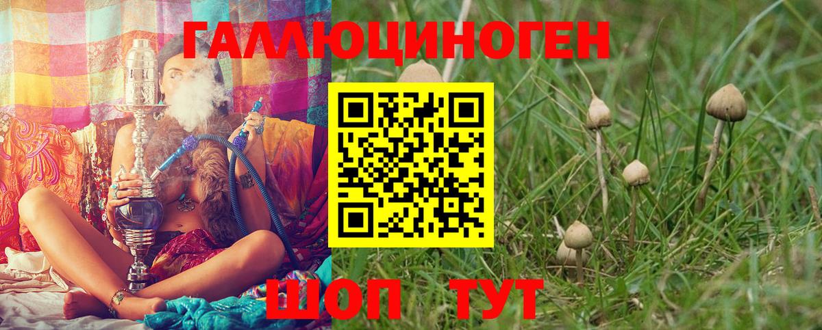 Галлюциногенные грибы мицелий Старая Русса