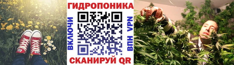 Шишки марихуана марихуана  Старая Русса 